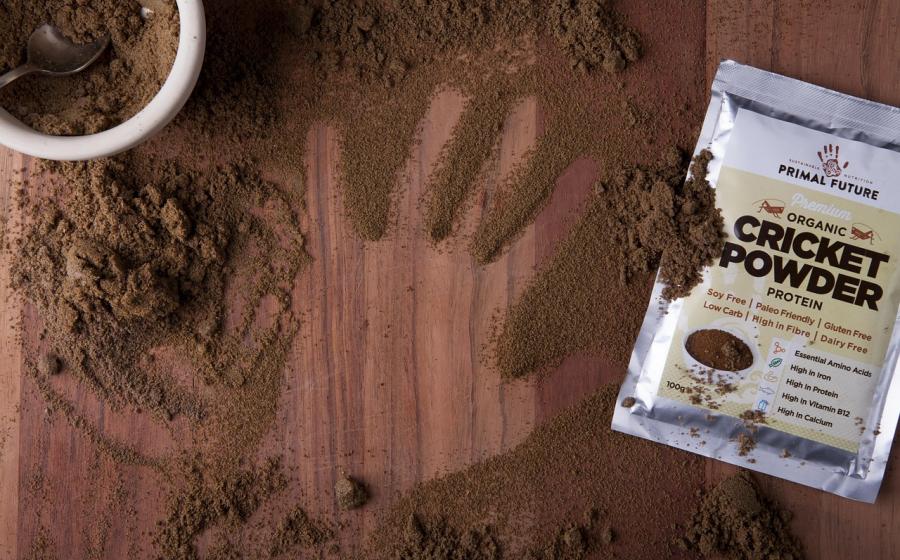 Mouka s obsahem hmyzu, zdroj obrázku Pixabay.com 