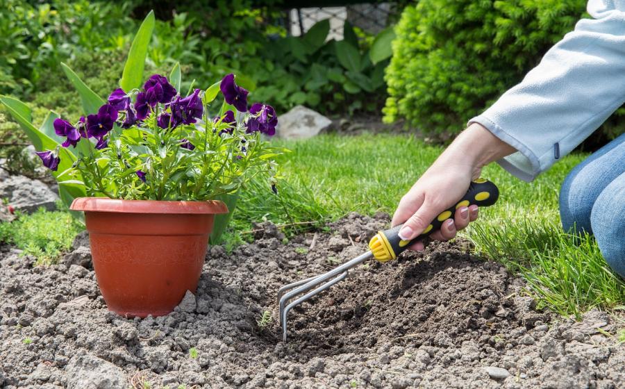 Žena pracuje na zahradě, zdroj obrázku PIxabay.com