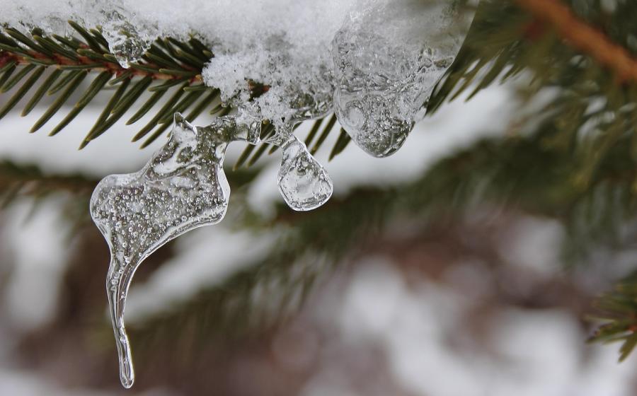 Sníh, autor Else Siegel, zdroj obrázku Pixabay.com