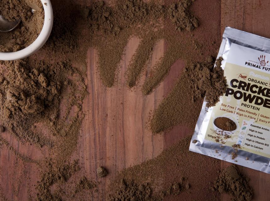 Mouka s obsahem hmyzu, zdroj obrázku Pixabay.com 