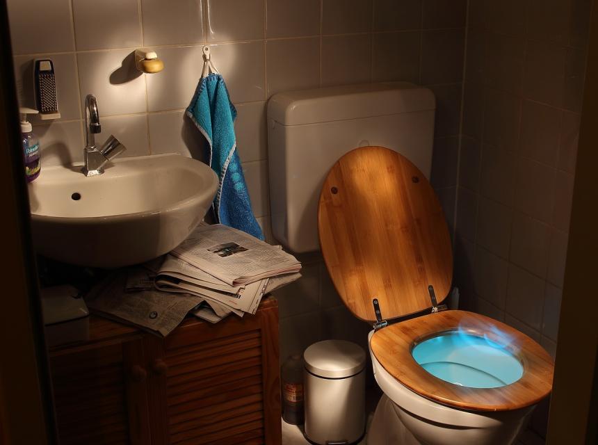 Toaleta, zdroj obrázku Pixabay.com