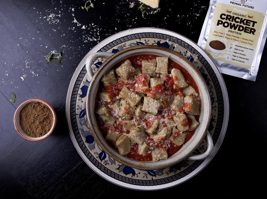 Hmyzí mouka, Zdroj obrázku Pixabay.com