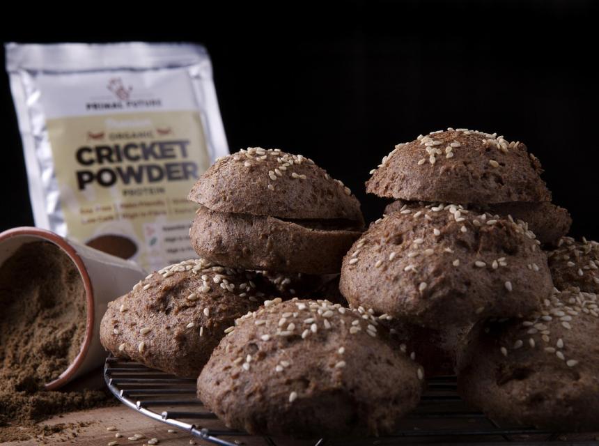 Potraviny s hmyzí moukou, zdroj obrázku Pixabay.com